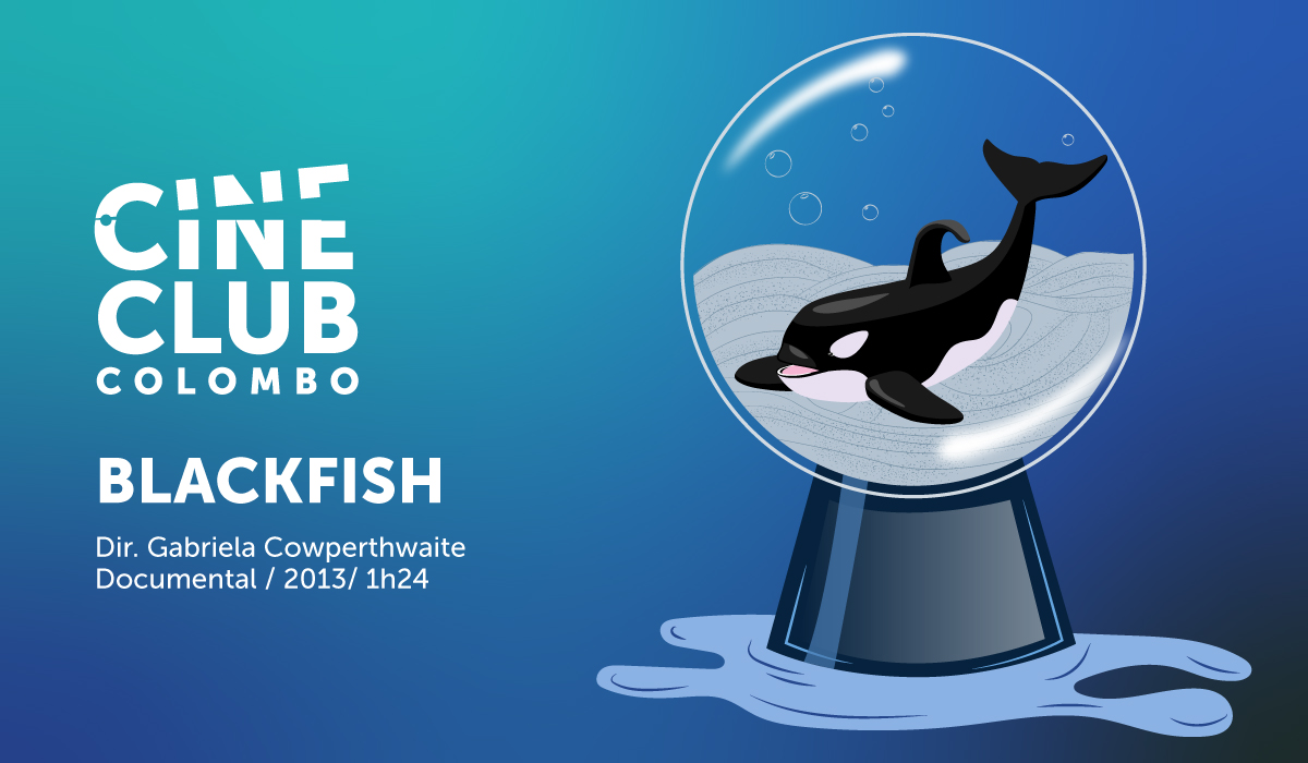 CineClub Colombo presenta ‘Blackfish’